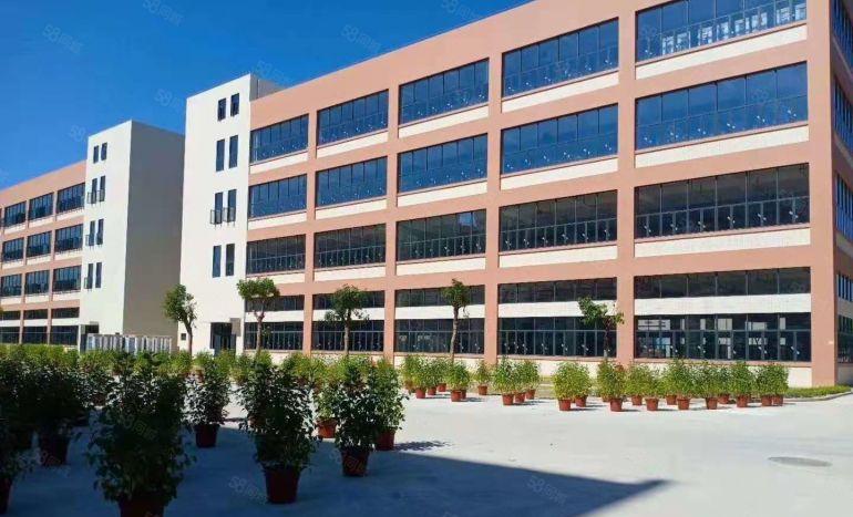 横岗红本独栋8000平，单层2000平可以分厂房仓库低价出租