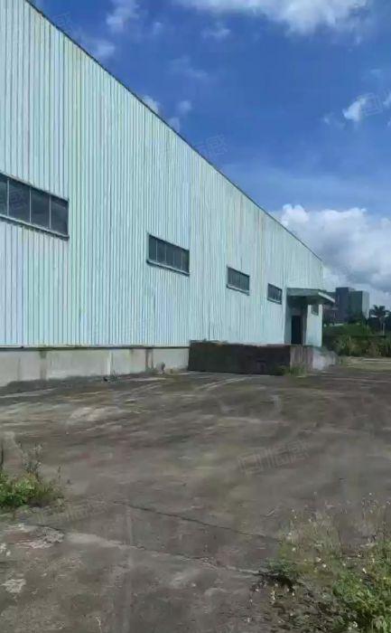 龙岗新生深圳厂房出租独门独院工业园仓库一楼出租超大空地钢构