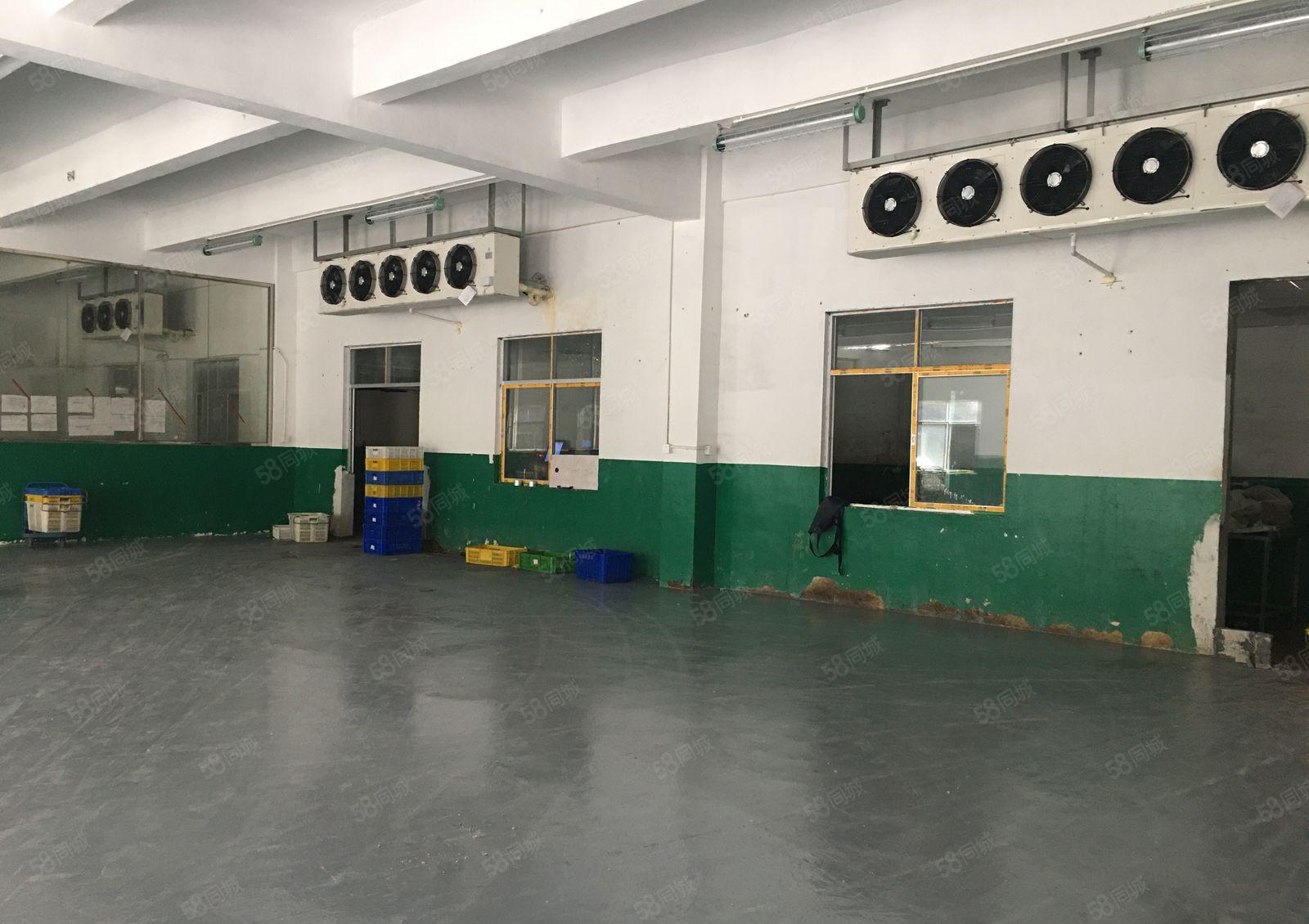 平湖海吉星农批市场旁1百2百5百8百冷藏冻库仓库厂房出租分租