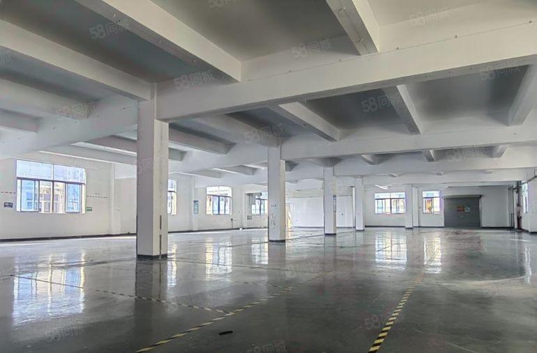 龙岗宝龙厂房出租500平起精装修独门独院工业仓库一楼出租