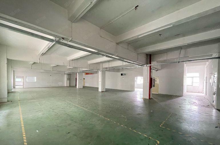 稀有房源！近坂田地铁口1000平厂房带装修出租！