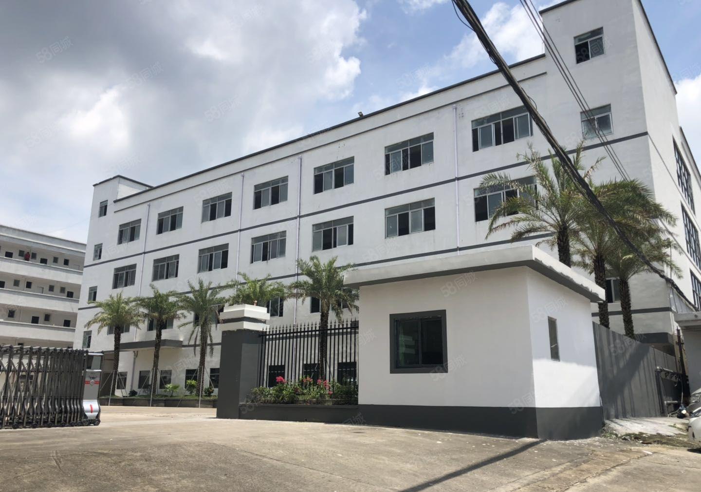 合同十年！嶂背市场边新空出原房东红本独院5800平方厂房出租