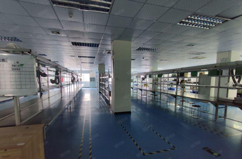 原房东厂房出租500平精装修价格便宜可以分组仓库出租