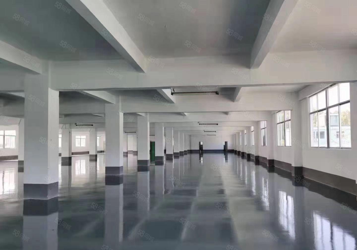 龙岗爱联嶂背工业区现成精装修楼上厂房500平方实际面积出租