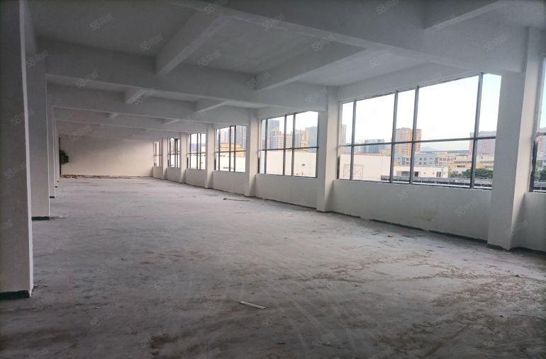 平湖！辅城坳！1150平！电商产业园！倾心升级舒适办公！