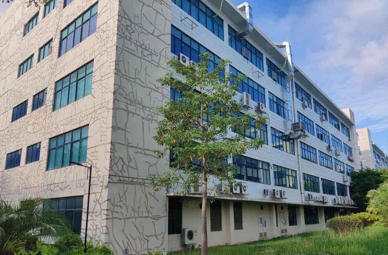 坪地坪西红本1500平精装修办公室加车间厂房超低价16元出租