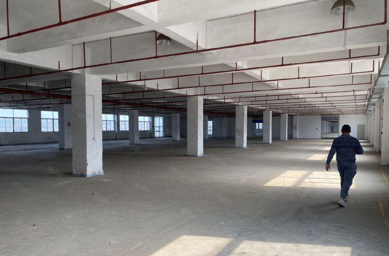 龙岗南联中心城5000平一楼二楼现场装修办公室厂房出租大小分