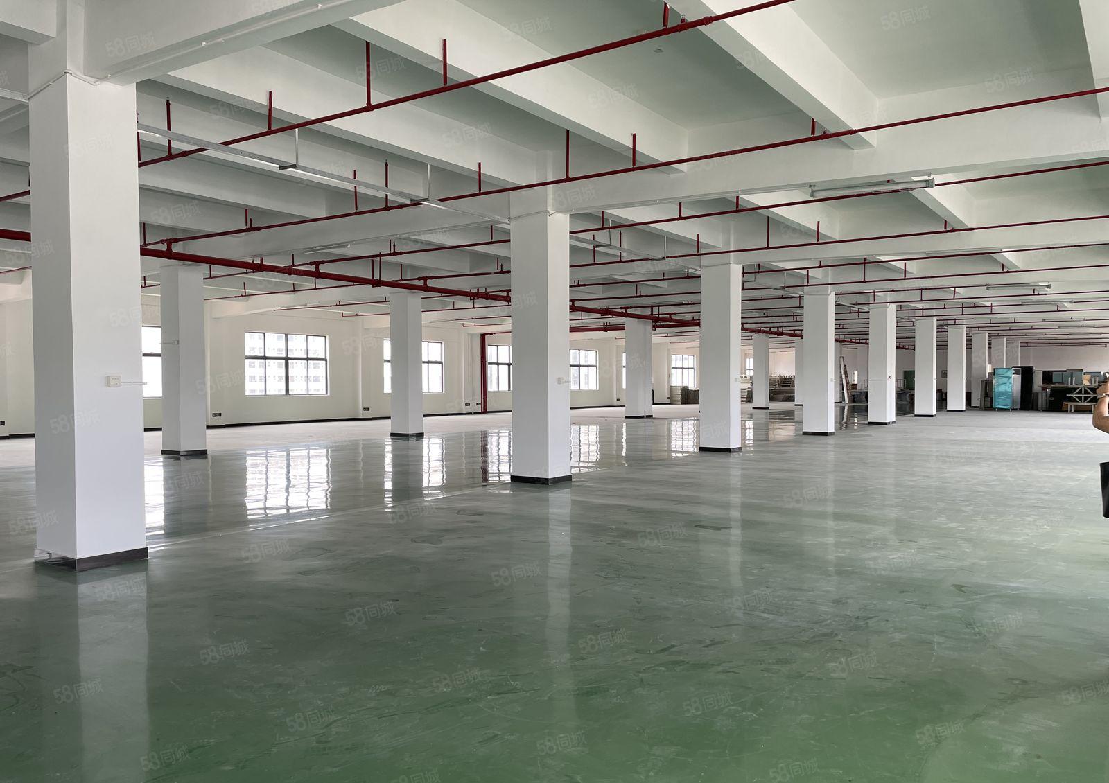 南联原房东大型工业园新空出2楼1500平仓库厂房实际面积出租