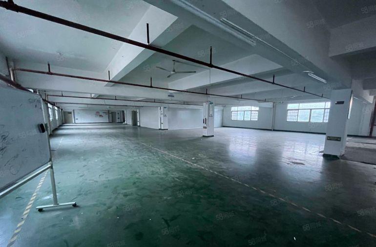 坂田杨美地铁口原房东红本厂房整层1460平方带精装修出租！