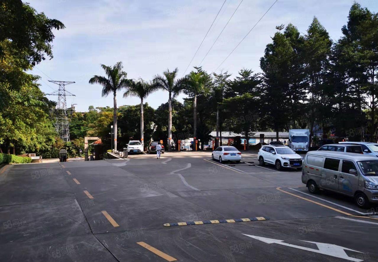 业主直租龙岗爱联嶂背市场旁厂房1000平出租带精装修面积实在