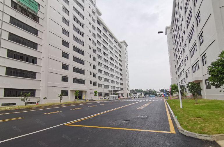 横岗大型产业园2000平厂房出租免租期12个月起研发办公仓库