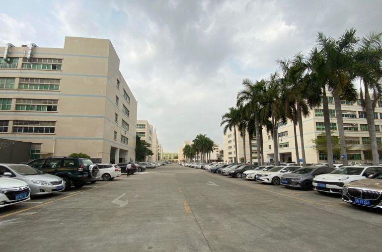 19元村委直租宝龙高新产业园新出整栋10000平精装厂房出租