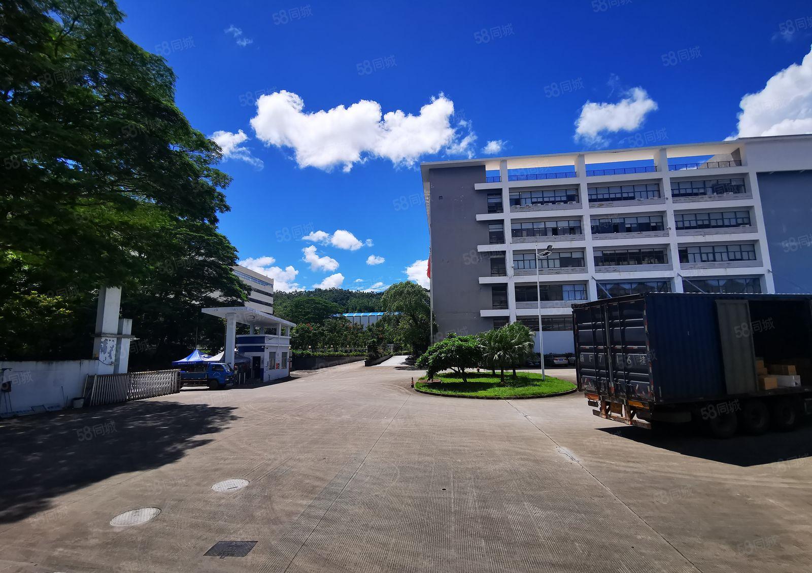 龙岗宝龙楼上精装修2000平厂房仓库出租带卸货平台空地大