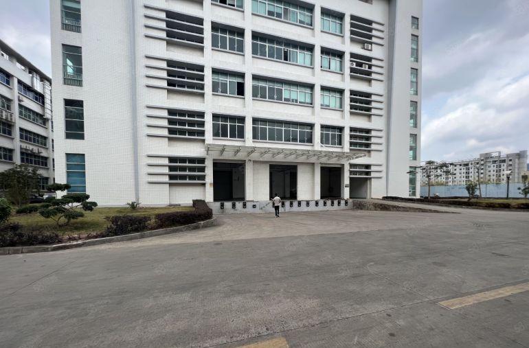 平湖华南城原房东一楼厂房1500平方出租带卸货平台拖头车随进