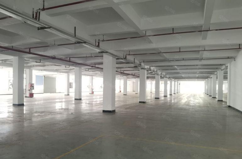 龙岗宝龙科技园原房东红本厂房4300平可分租近地铁口易招工