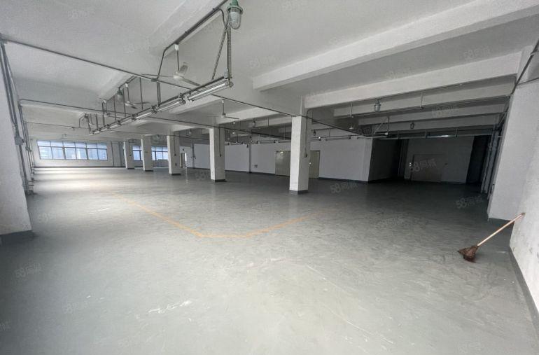 龙岗坂田园区主干道厂房出租仓库带宿舍8400平独栋独院带装修