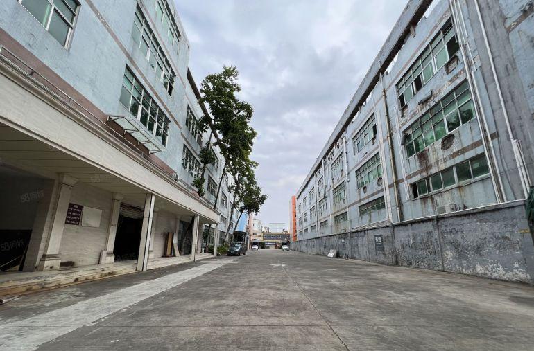 龙西原房东独门独院厂房10000平方仓库出租2000平起分租