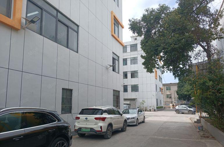 龙岗坪西原房东精装一楼1200平仓库厂房出租，600平起分租