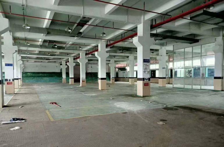 龙岗一楼厂房出租500平1000平1500平南联同乐宝龙龙西