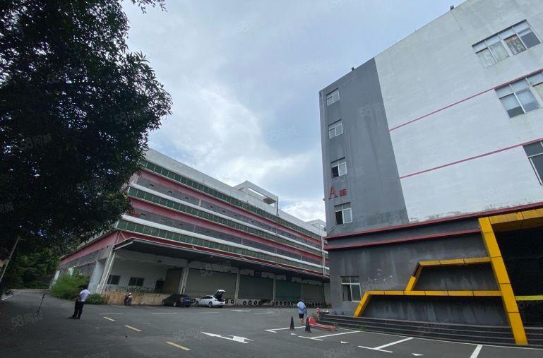 龙岗宝龙独院红本面积1000平分现成卸货平台厂房仓库物流出租