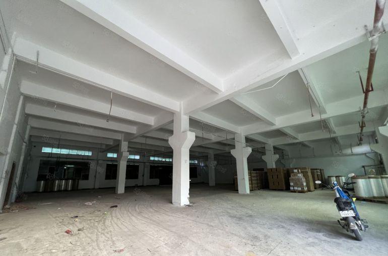 同乐原房东一楼厂房1200平方仓库出租带牛角空地大好招工