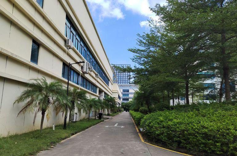 龙岗同乐科技园新出标准楼上2500平方现成装修低价厂房出租