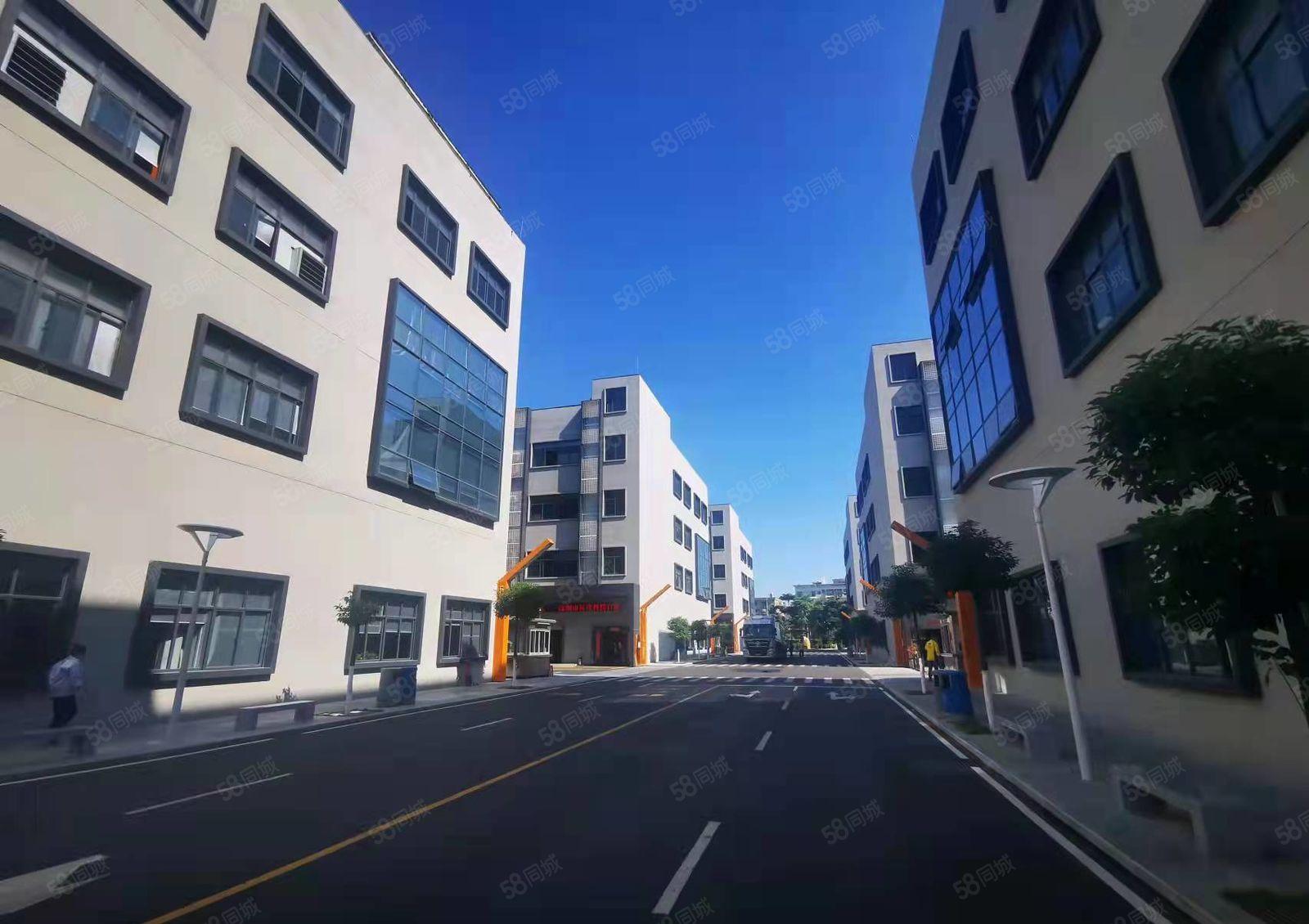 龙岗南联地铁站旁村委厂房500平出租精装修可办公仓库水电齐全