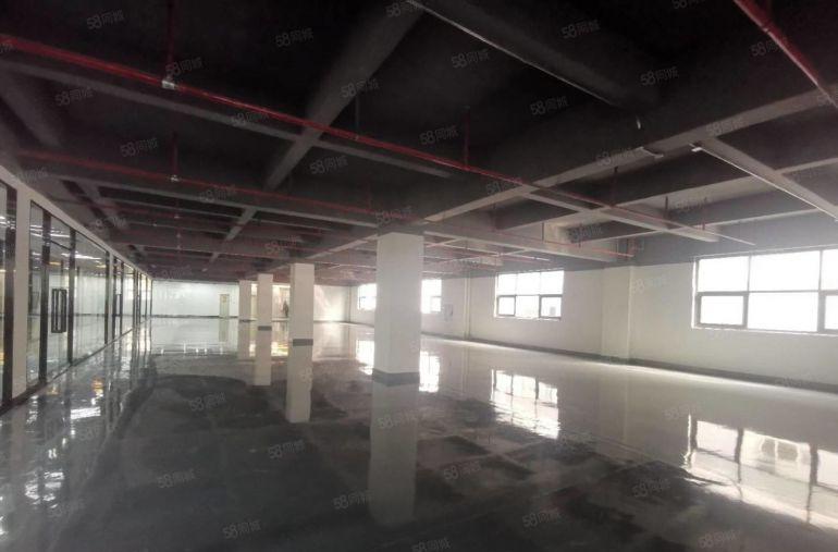 坂田岗头电商园厂房200平300平起层分租 可做办公仓库出租