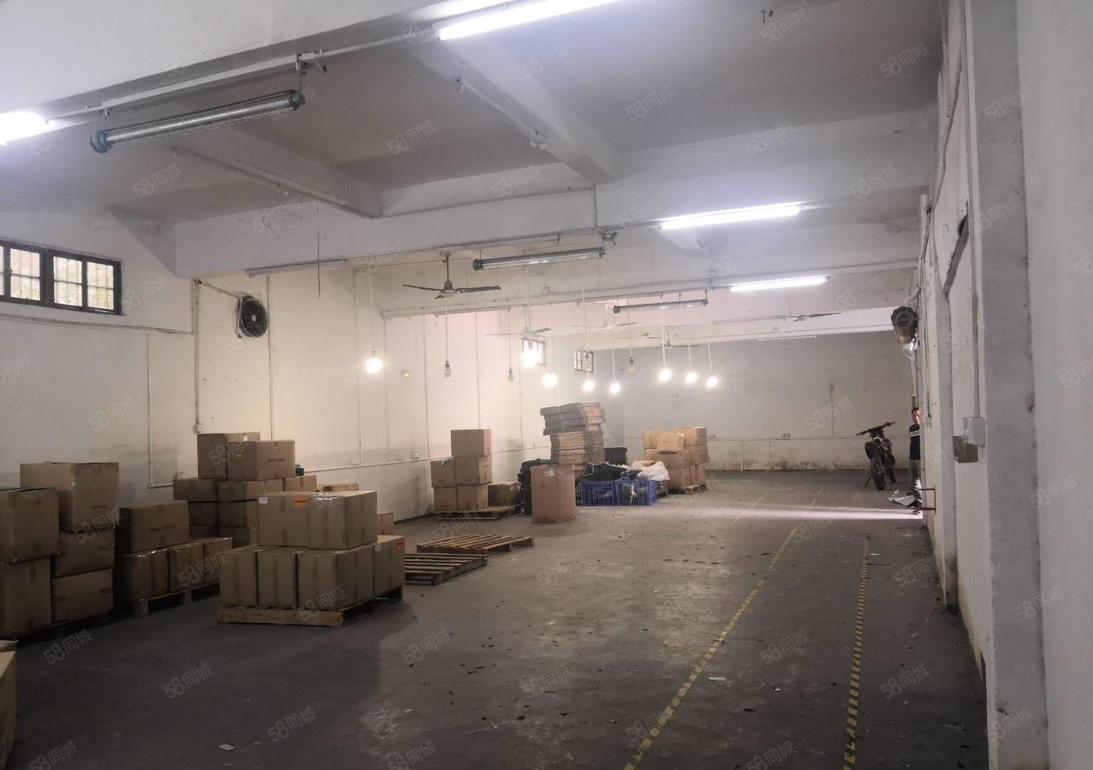 平湖主干道边上低价一楼300平出租只要26元