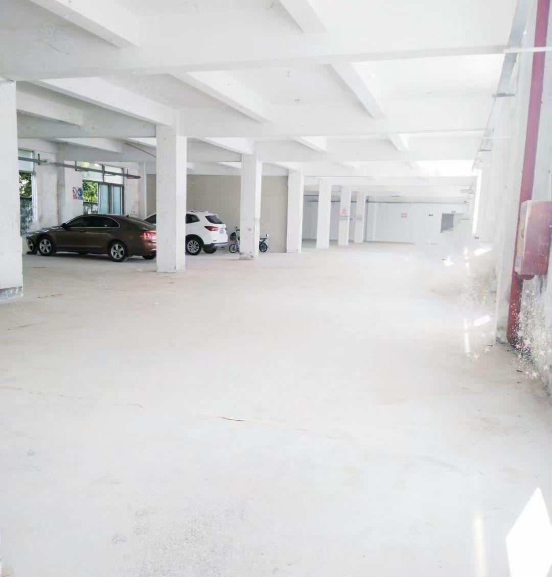 龙岗镇新生花园式独院厂房三层4000平方米低价租也可分租