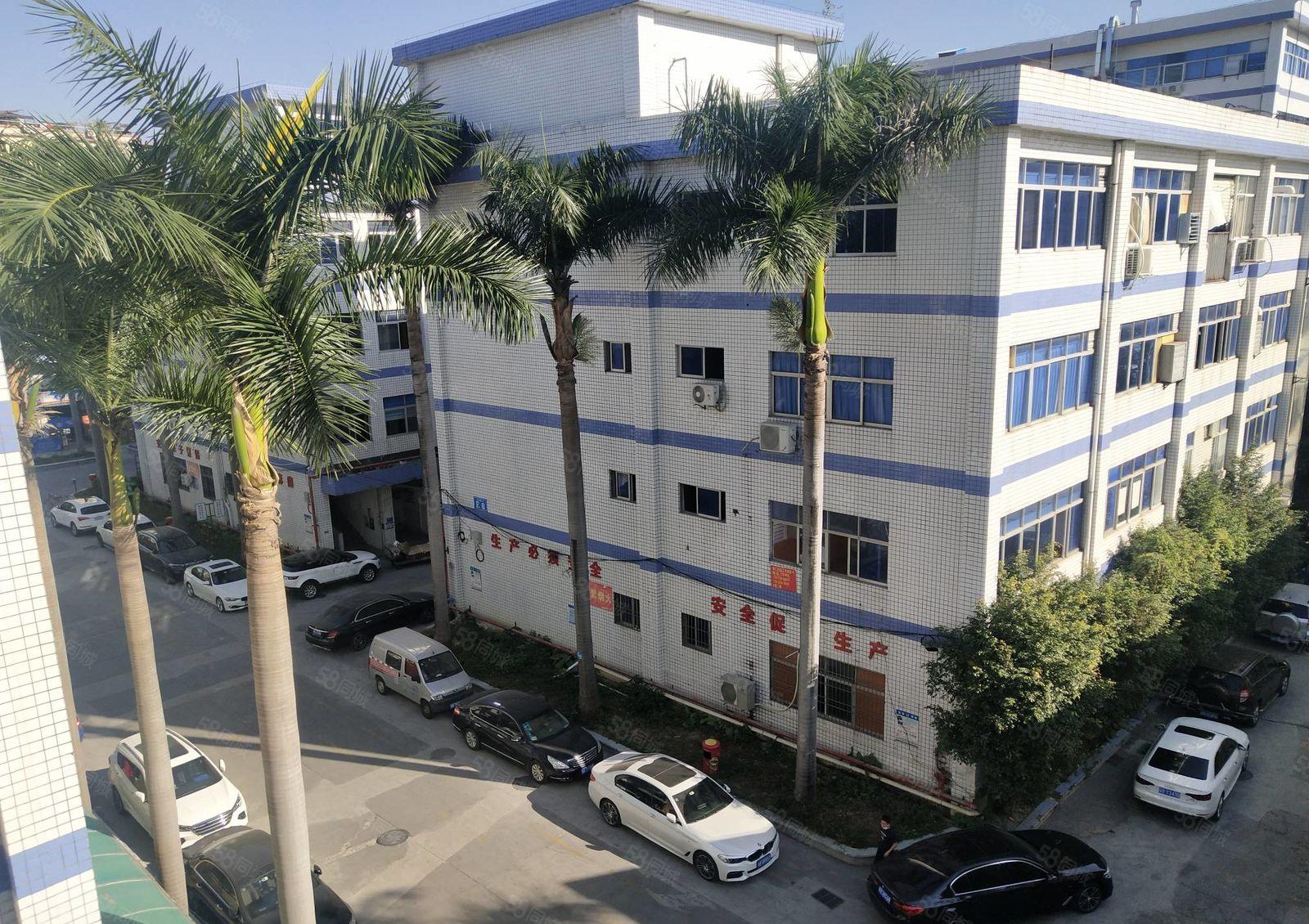 100平起分租坂田原房东上雪工业区办公仓库厂房出租1000平