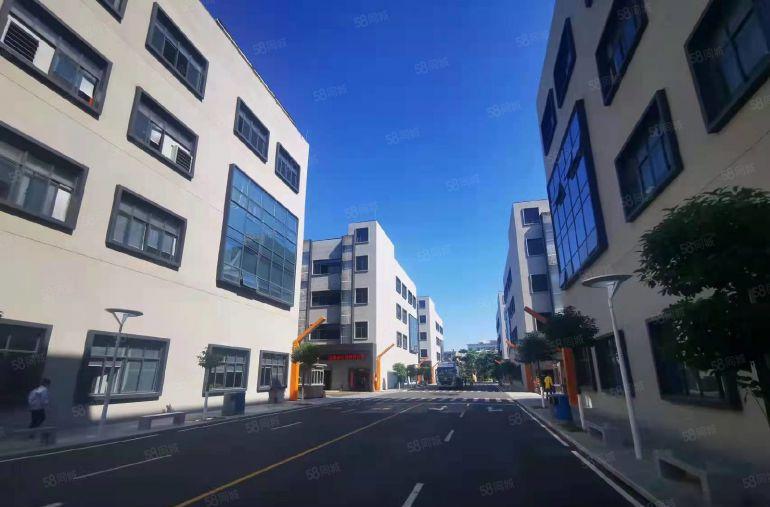 坂田杨美地铁站楼上500平方带装修办公室厂房仓库低价出租