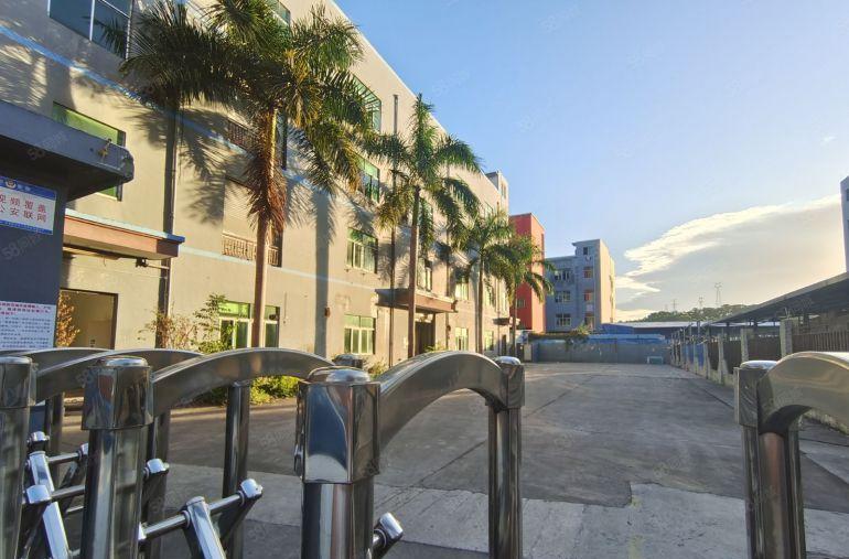 免租期长龙岗爱联村委独院5500平方厂房仓库低价出租