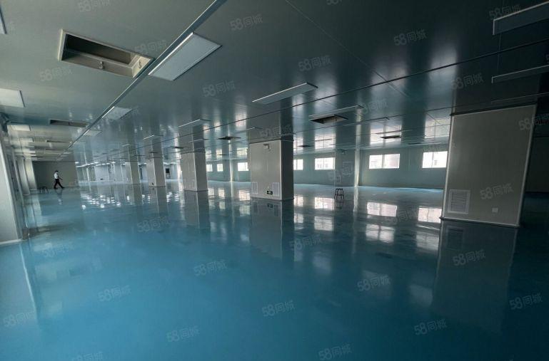 横岗地铁口 精装修无尘车间 低价厂房仓库空土地一楼出租