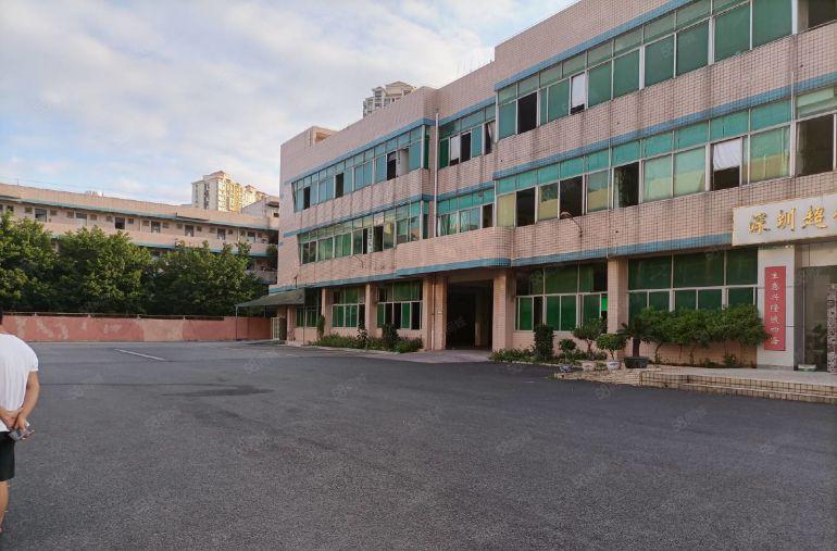 平湖独院新出一楼2100平方厂房仓库出租可分租空地大交通方便