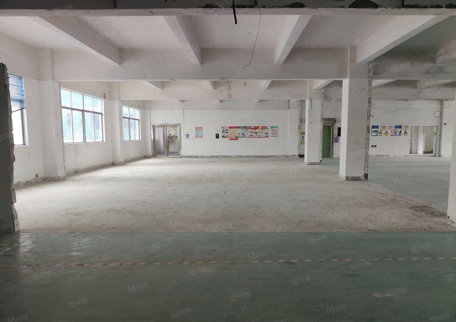20起租龙岗高科大道旁工业园一楼1000平出租带超大空地