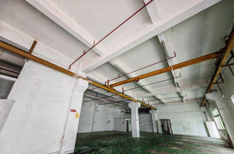 龙岗同乐独门独院！已全部翻新！免租期长！价格便宜停车免费！