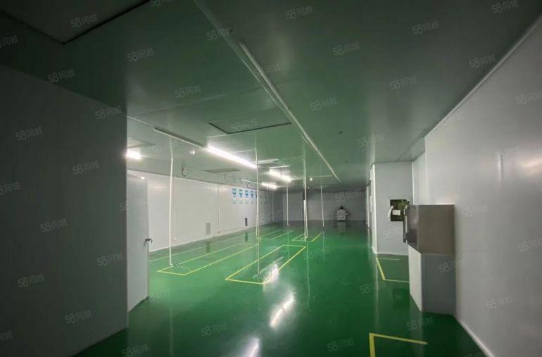 坂田生态园楼上500平精装修红本双证厂房出租仓库出租