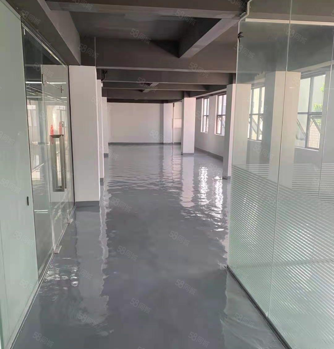 龙岗新生带装修250平米带办公室出租