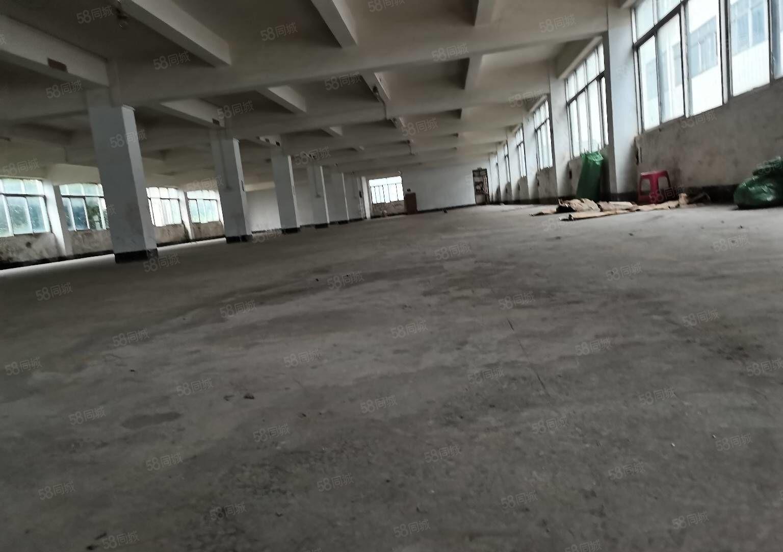 深圳市龙岗区龙东原房东厂房出租交通便利周边设施齐全大小可分租