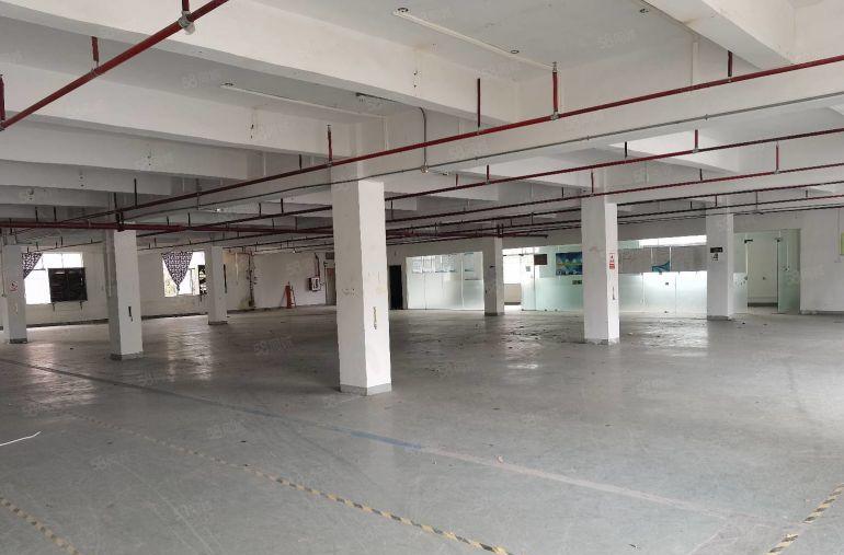 20元起租龙岗宝龙地铁口新出一楼二楼1200平厂房出租可分租