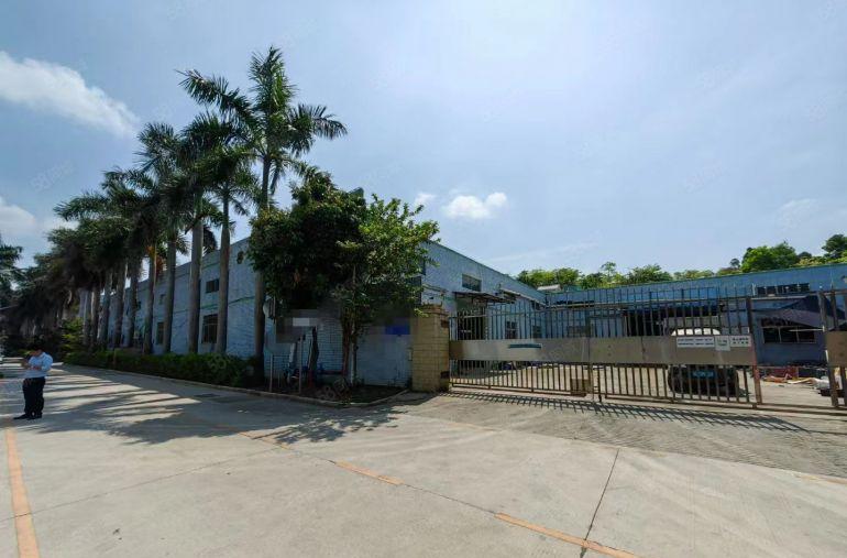 坪地坪西新出原房东独院2500平钢结构厂房仓库出租 可办环评