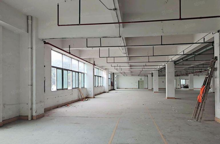 坂田贝尔地铁站旁工改商电商仓库300平起租总面积30000平