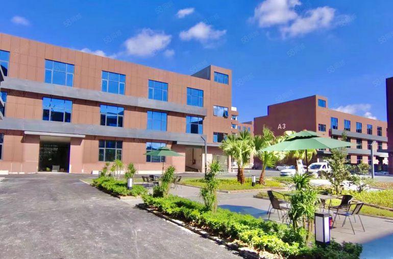 龙岗新生主干道边高新科技园300平带现成办公室装修出租