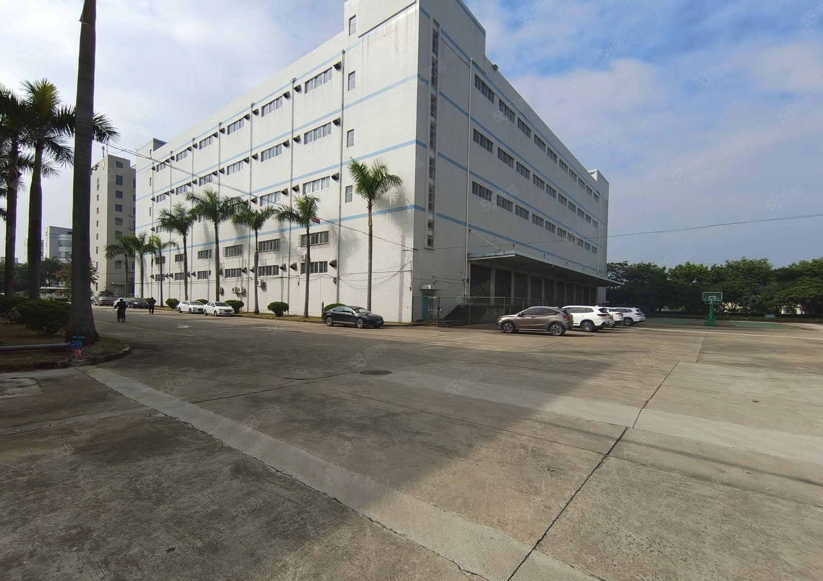 层高6.8米！宝龙原房东独栋厂房一二楼8000平厂房仓库出租