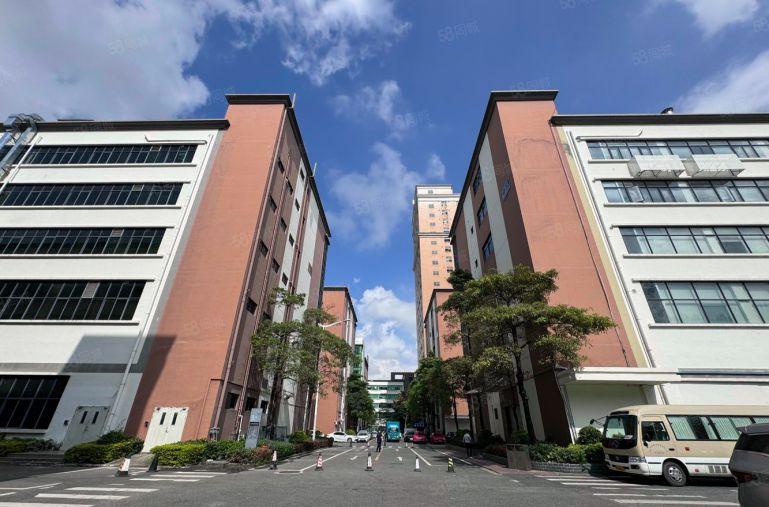 龙岗中心城厂房出租500平起租精装电商一楼仓库出租分租