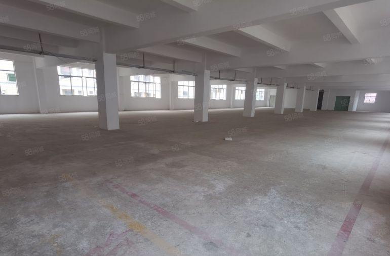 龙岗宝龙工业区原房东6000平厂房仓库出租500平起分租