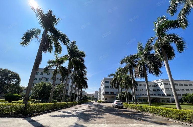 空地超大行业不限村委直租宝龙新出26000平独门独院厂房出租