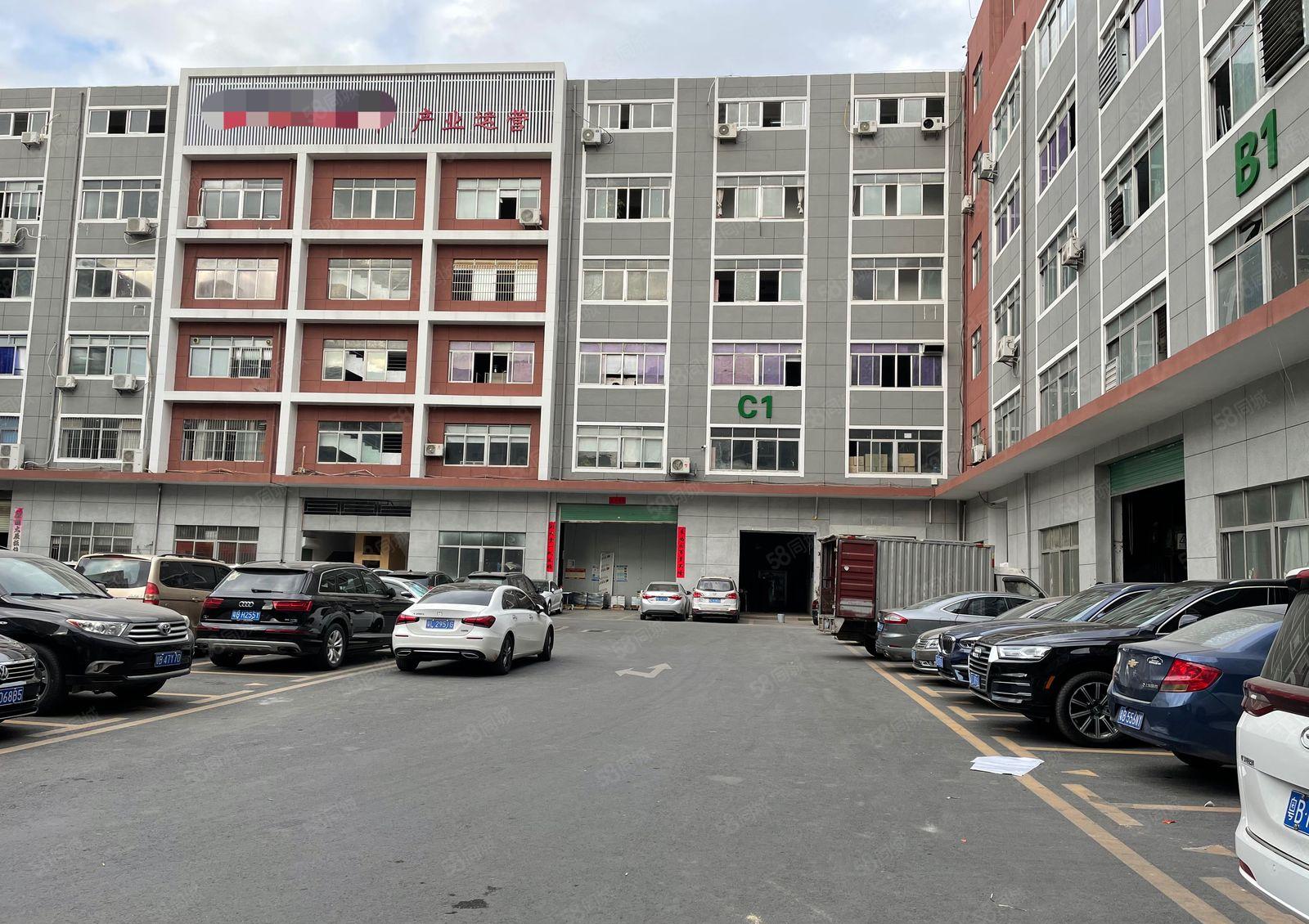 同乐原房东工业区新空出2楼600平带精装修办公室厂房出租