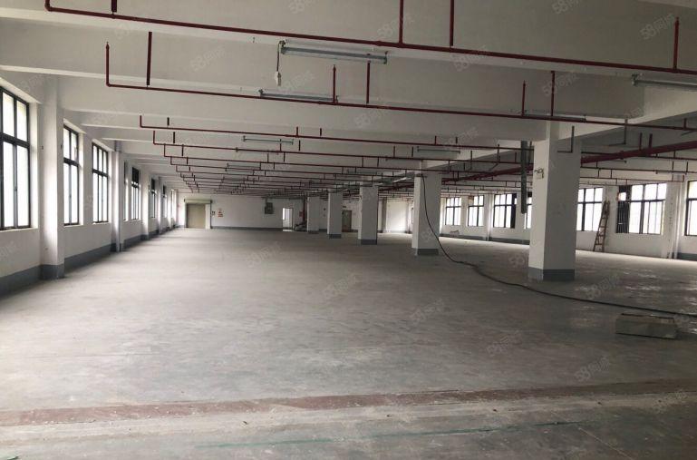 租！平湖鹅公岭新出独门独院7200平原房东红本厂房！